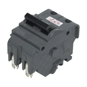 Connecticut Electric UBIF 40 amps Standard 2-Pole Circuit Breaker