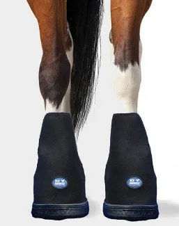 Laminitis Kit